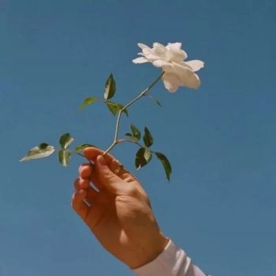 卡拉泡泡游戏下载