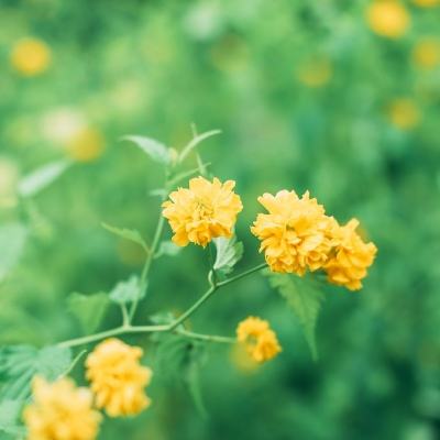 巴拉拉魔法美甲2下载